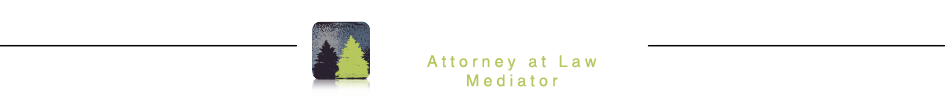 Alyssa Slater Law Logo